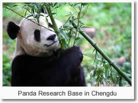 16-Day Sichuan - Lijiang - Grand Shangri-la Overland Private Tour